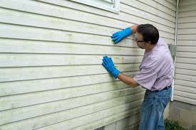 Best Siding Painting and Refinishing  in Patterson, LA